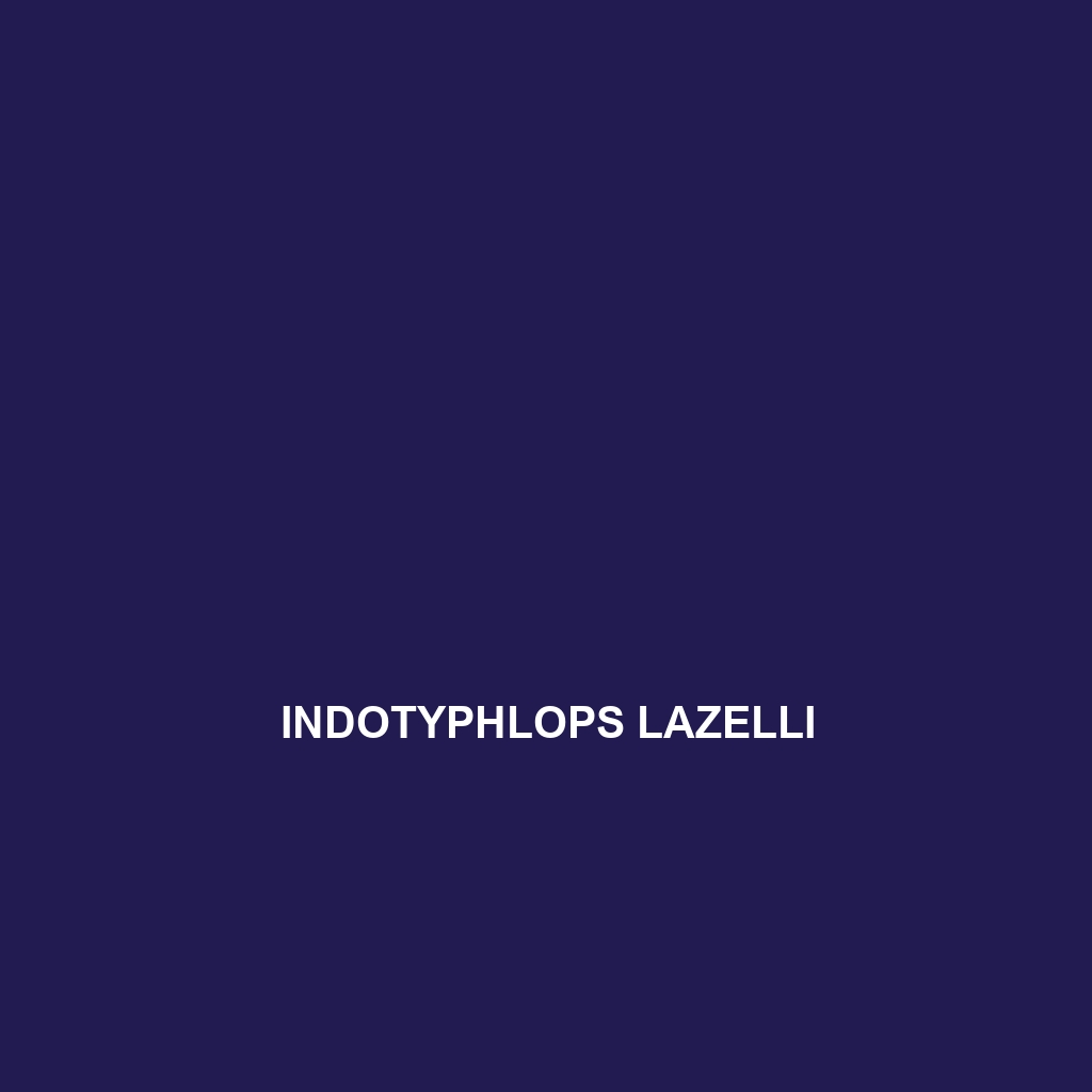 Indotyphlops lazelli