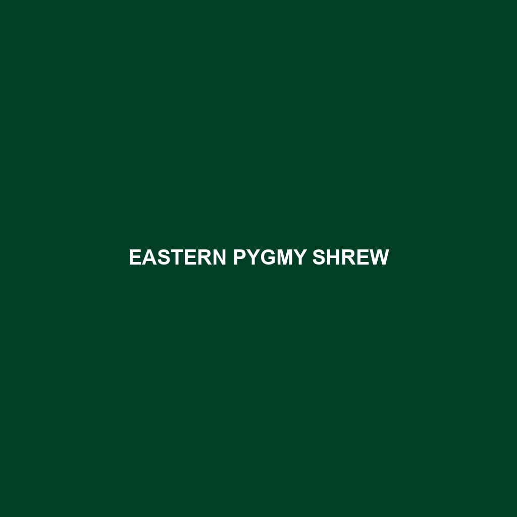 Eastern Pygmy Shrew