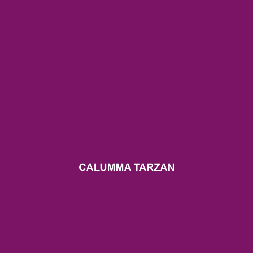 Calumma tarzan