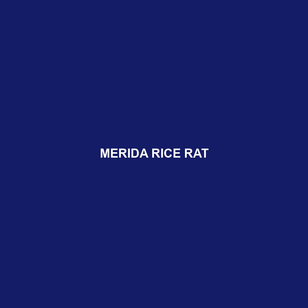 Merida Rice Rat