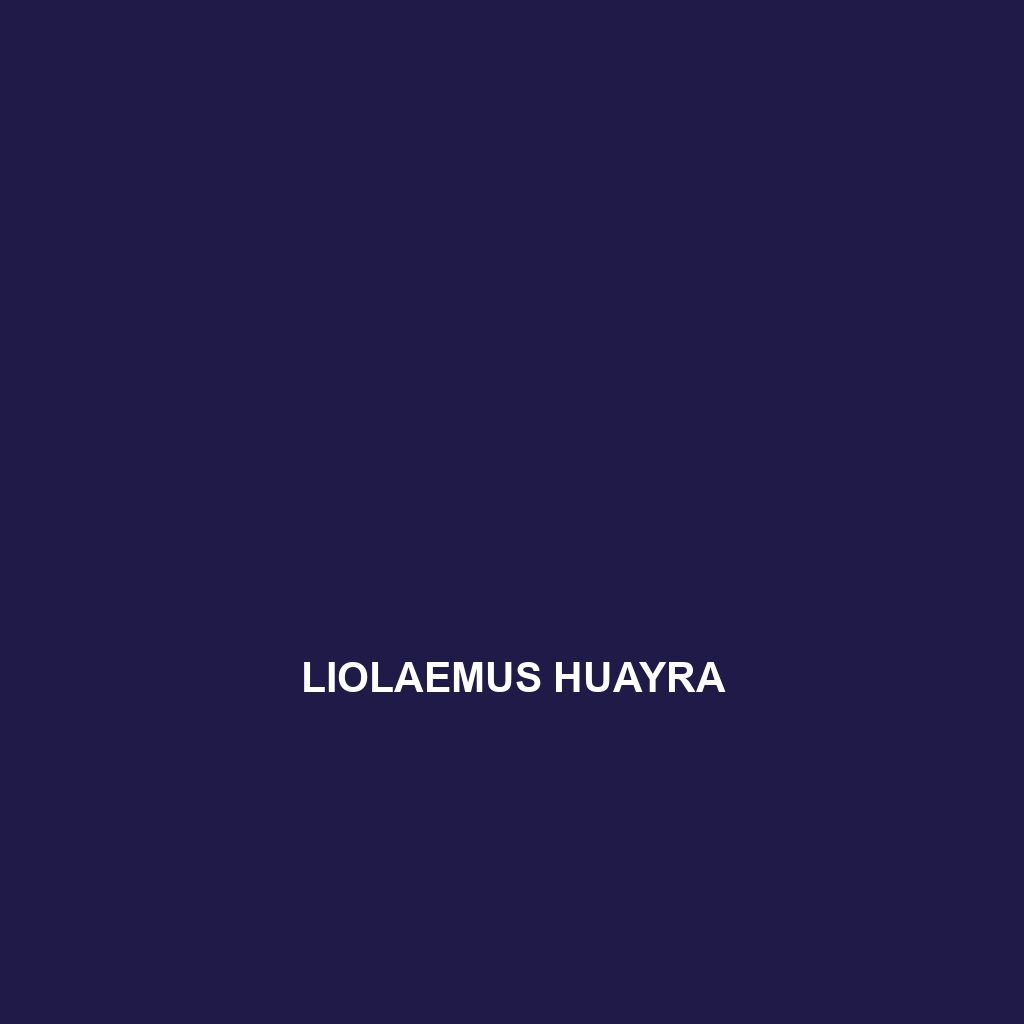 Liolaemus huayra