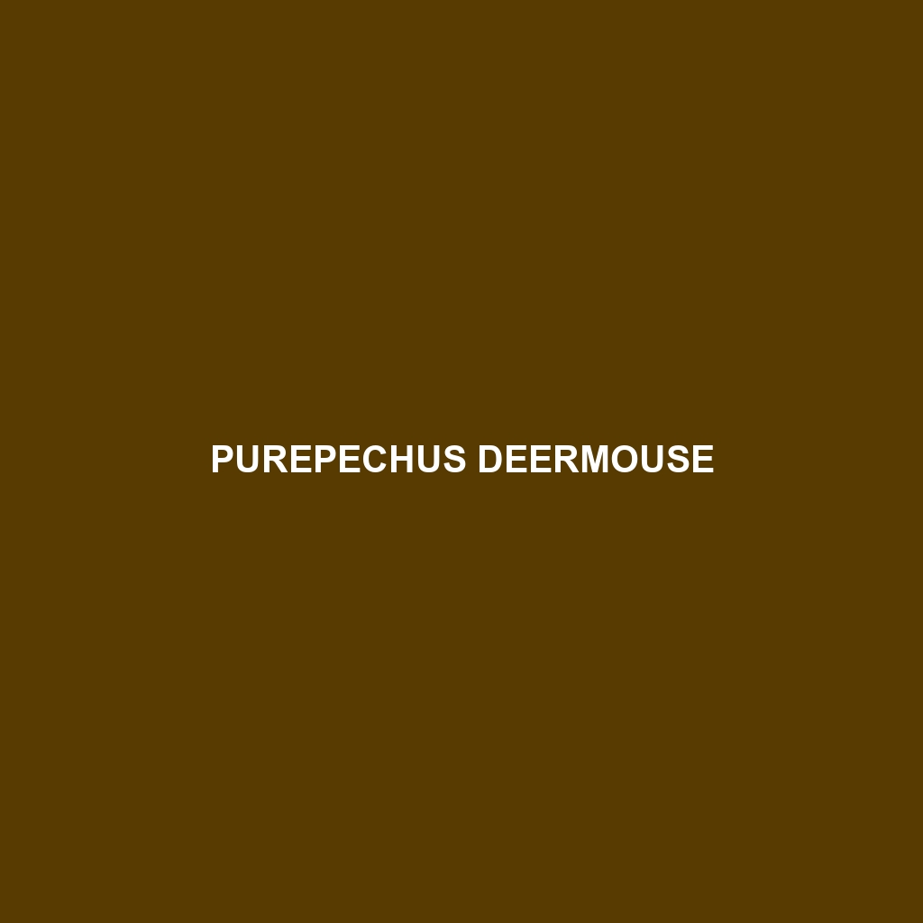 Purepechus Deermouse