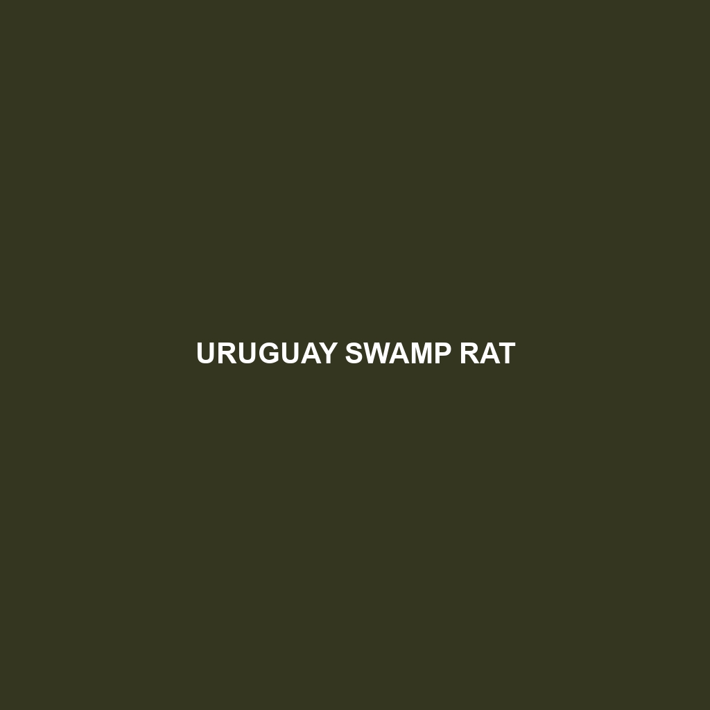 Uruguay Swamp Rat