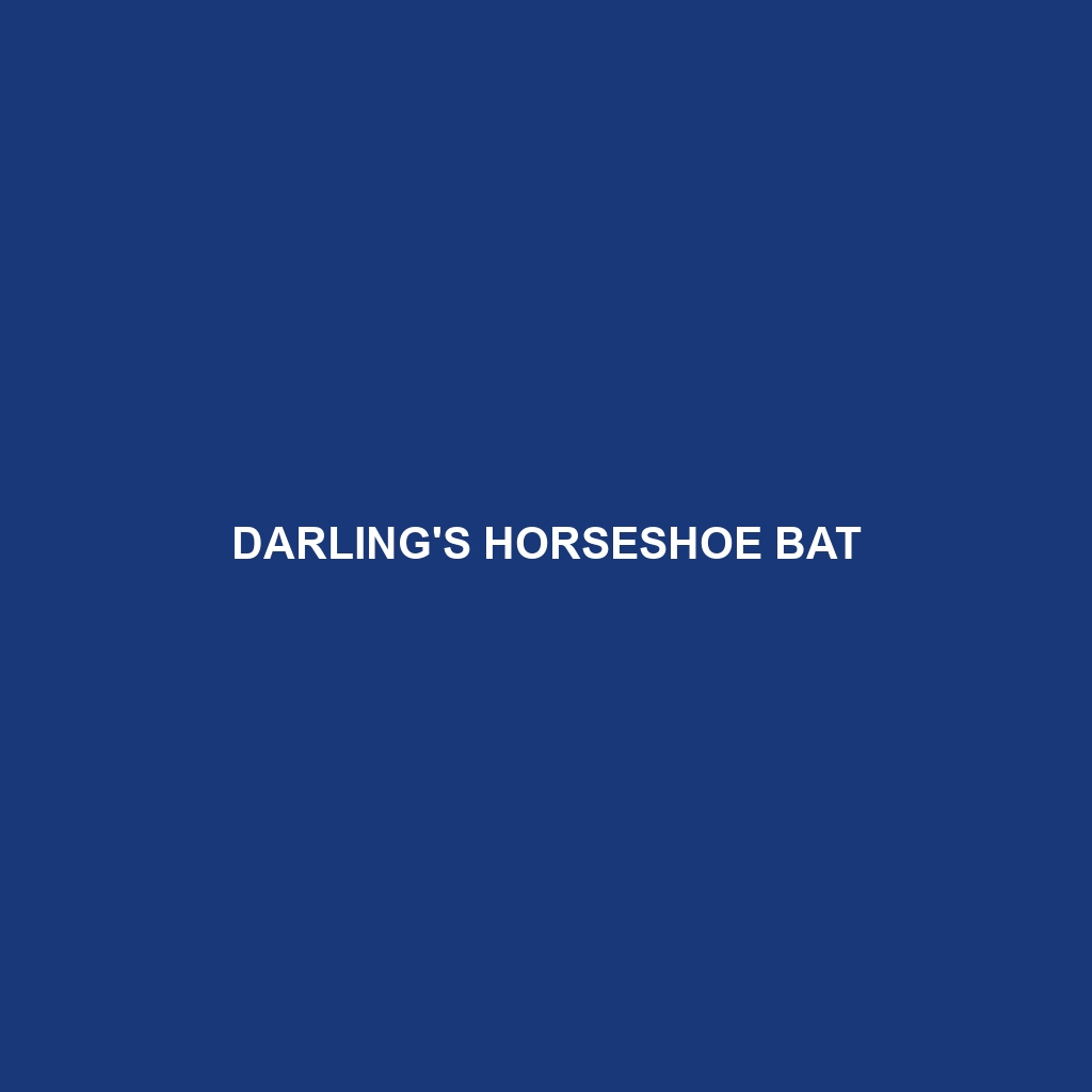 Darling's Horseshoe Bat