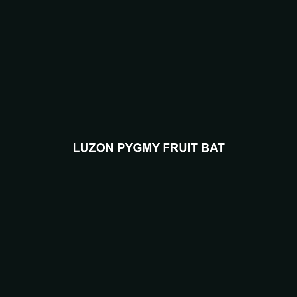 Luzon Pygmy Fruit Bat