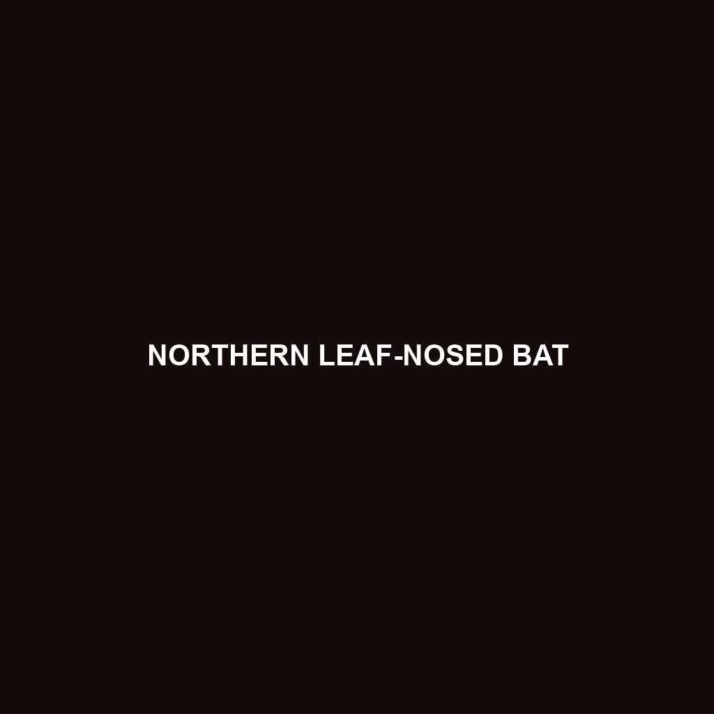 Northern Leaf-nosed Bat