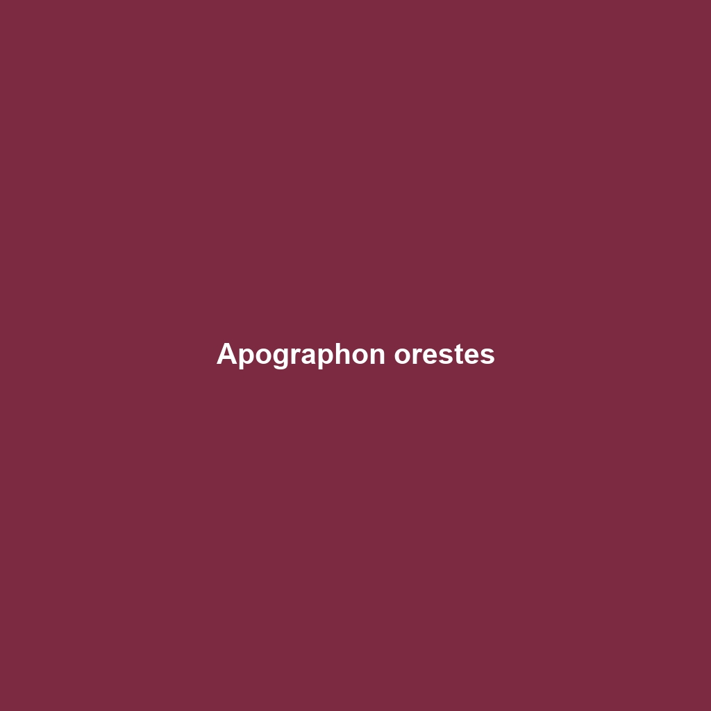 Apographon orestes