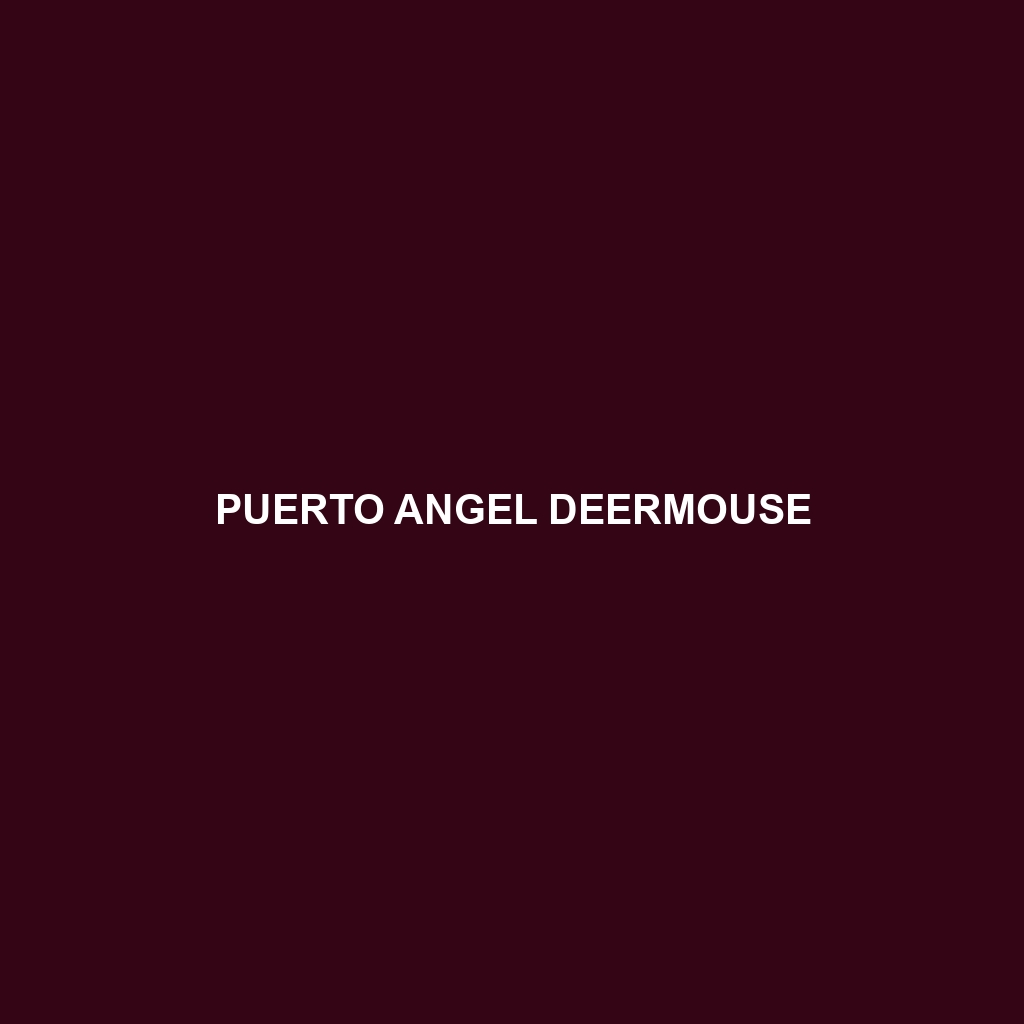 Puerto Angel Deermouse