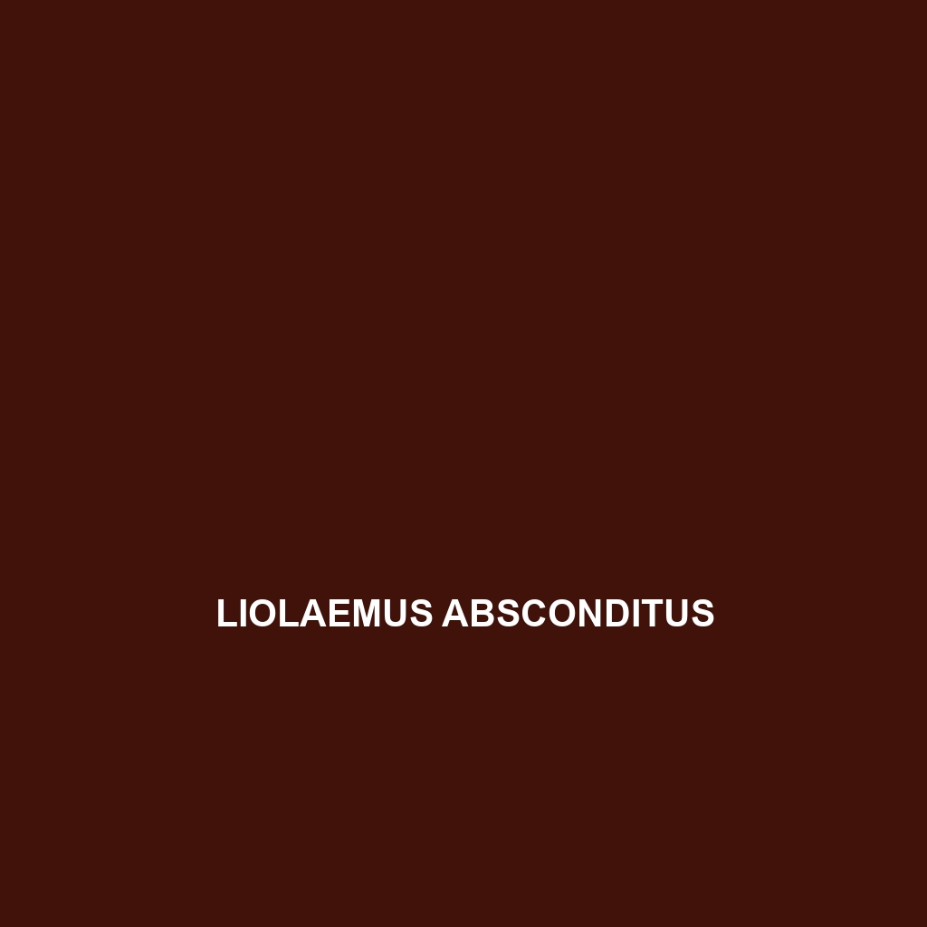 Liolaemus absconditus