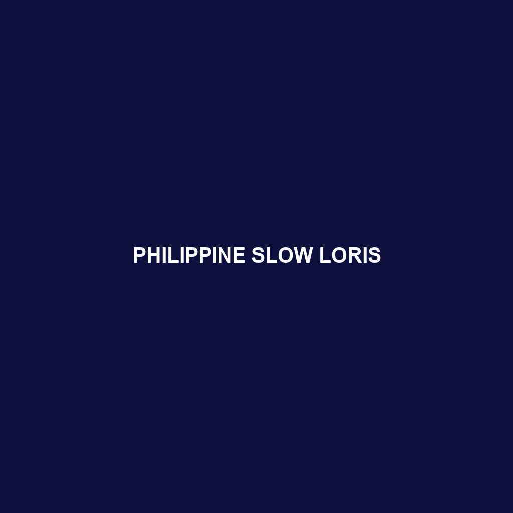 Philippine Slow Loris