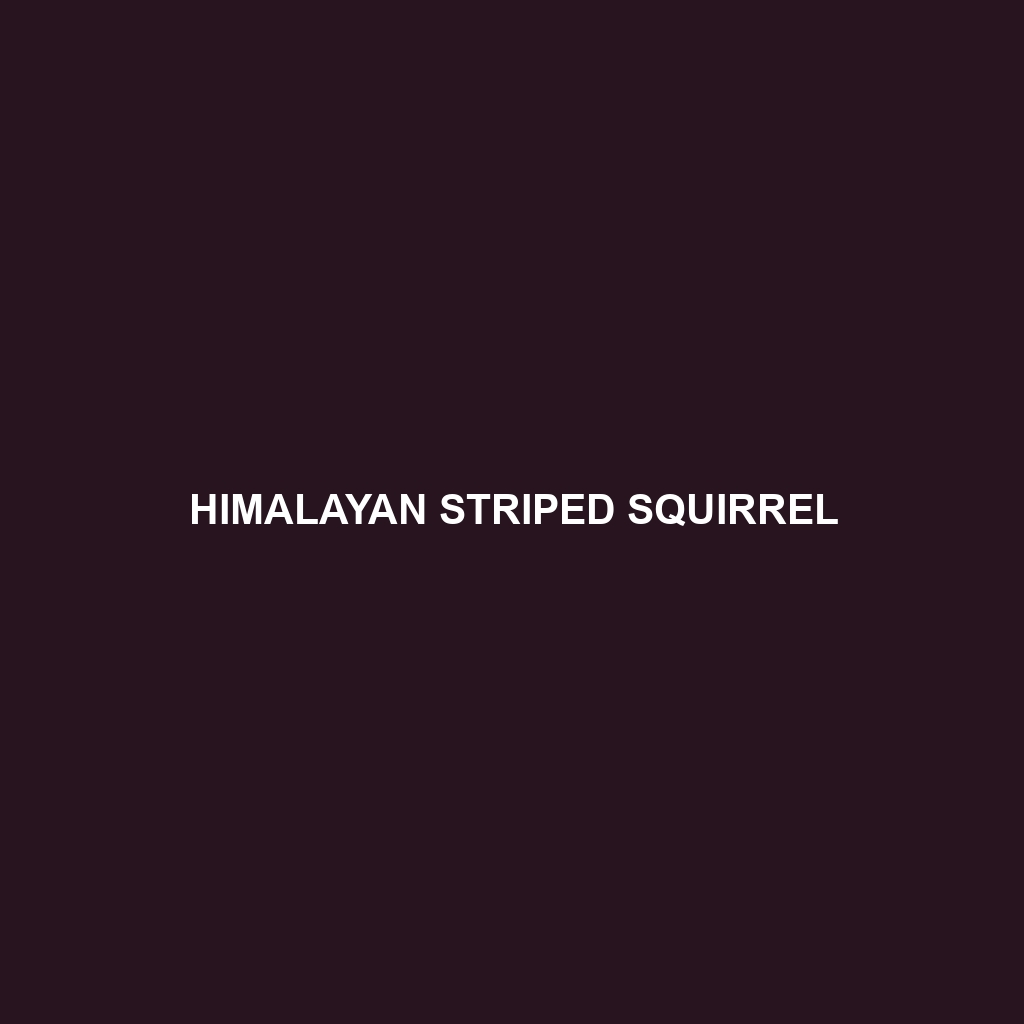 Himalayan Striped Squirrel