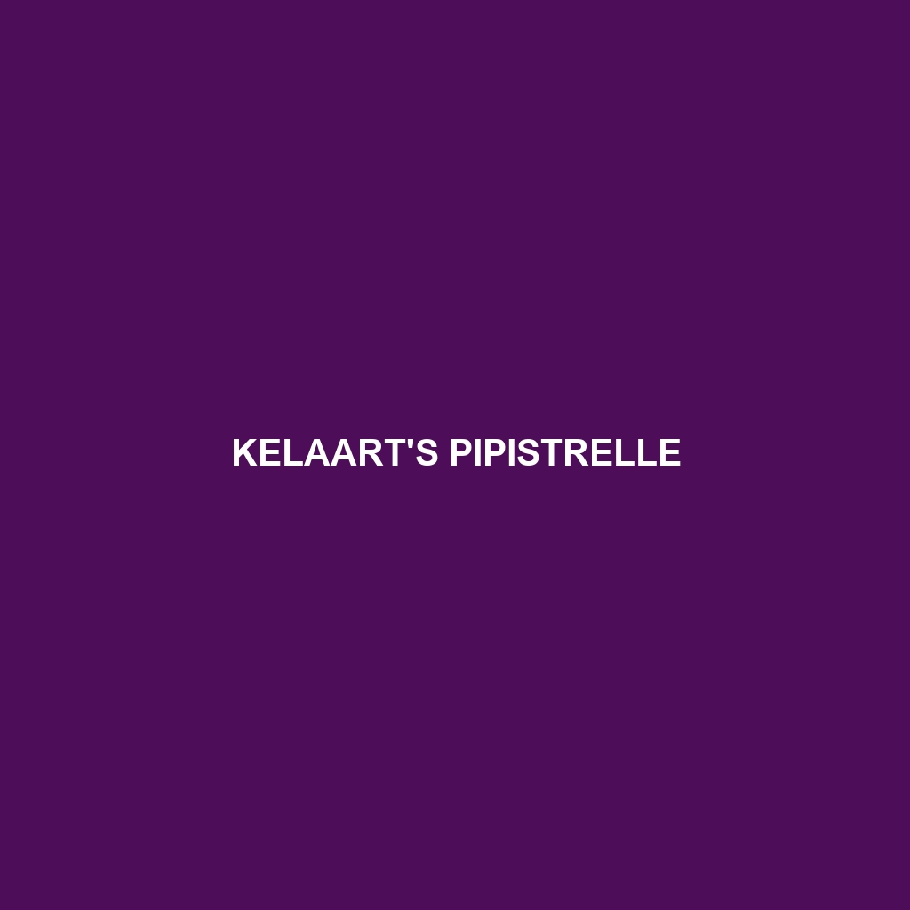 Kelaart's Pipistrelle