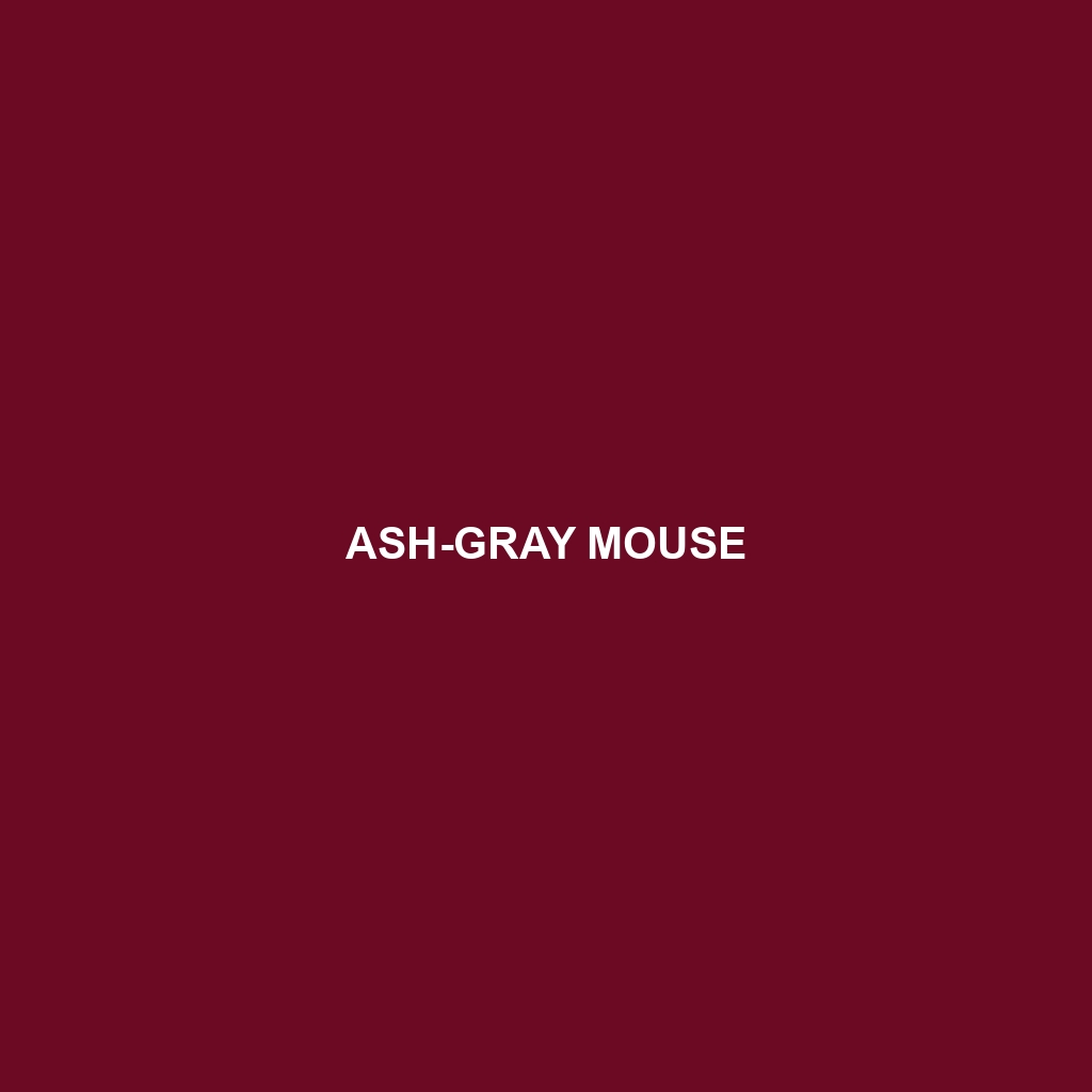 Ash-gray Mouse