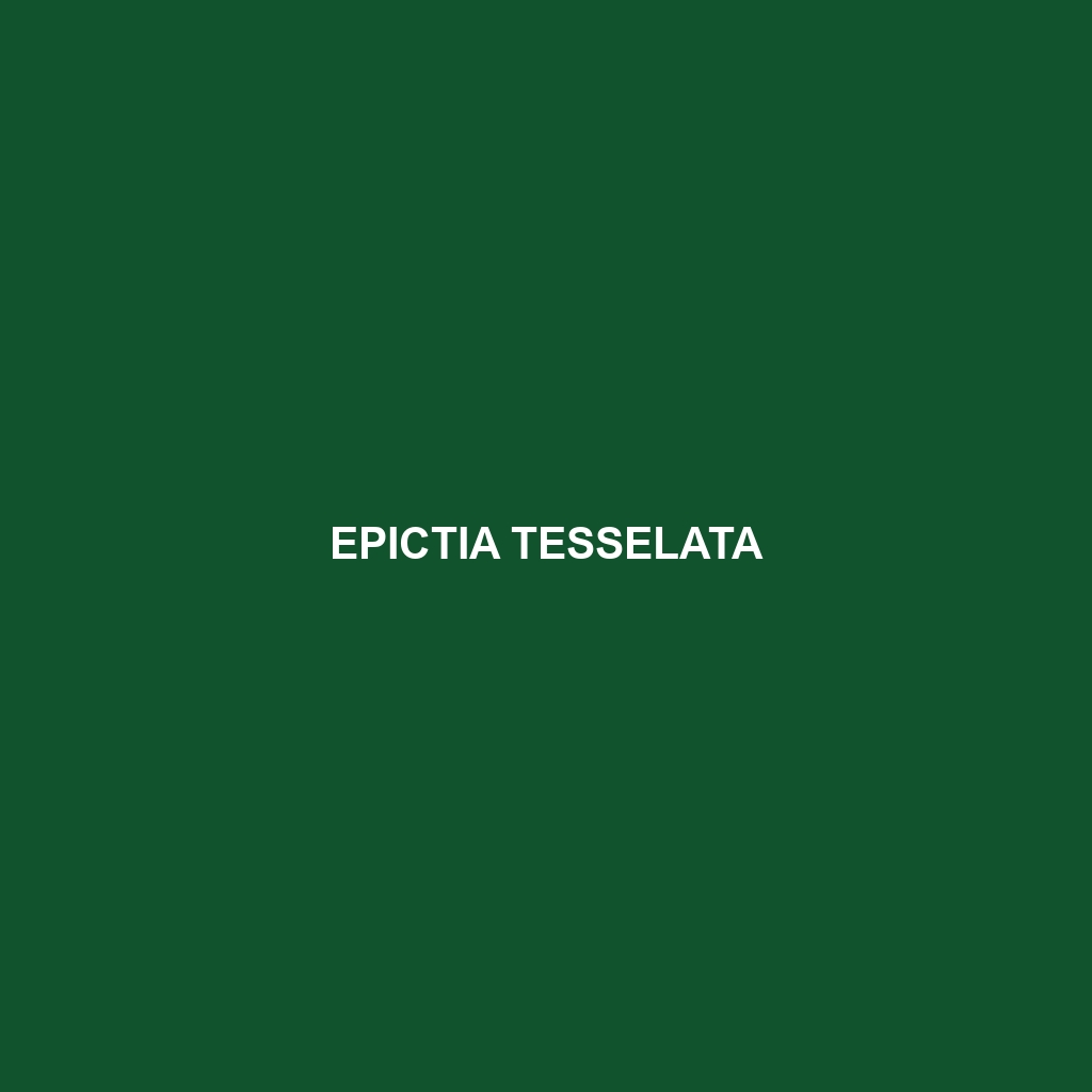 Epictia tesselata