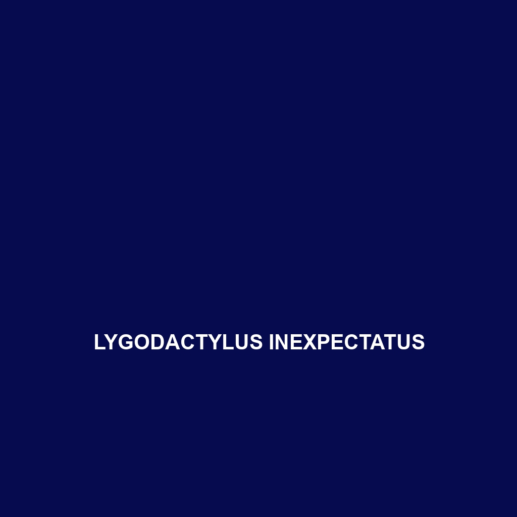 Lygodactylus inexpectatus