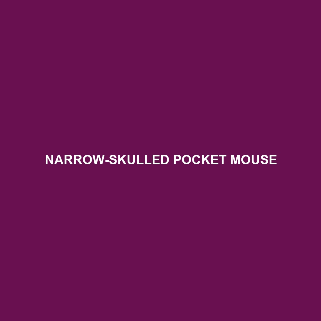 Narrow-skulled Pocket Mouse