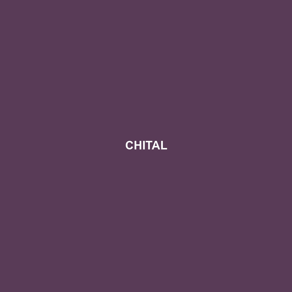 Chital