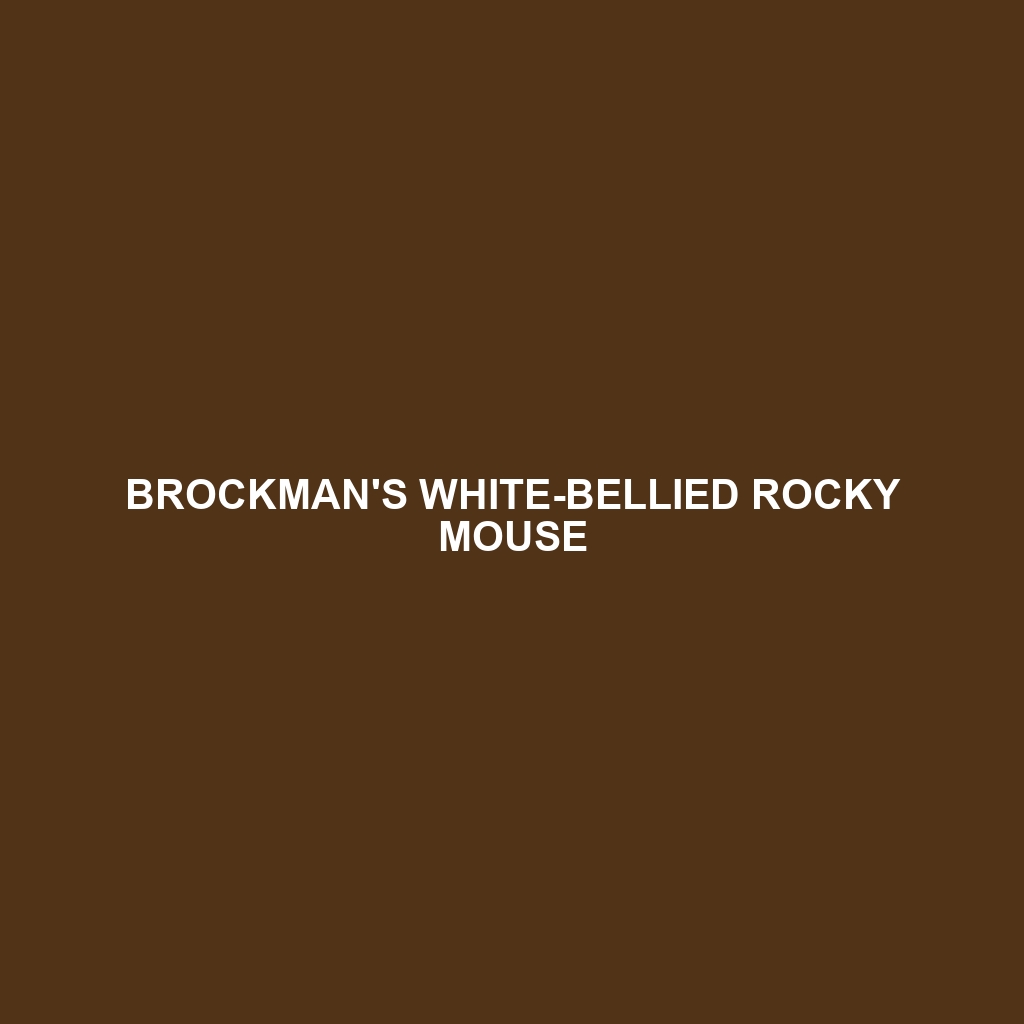 Brockman's White-bellied Rocky Mouse