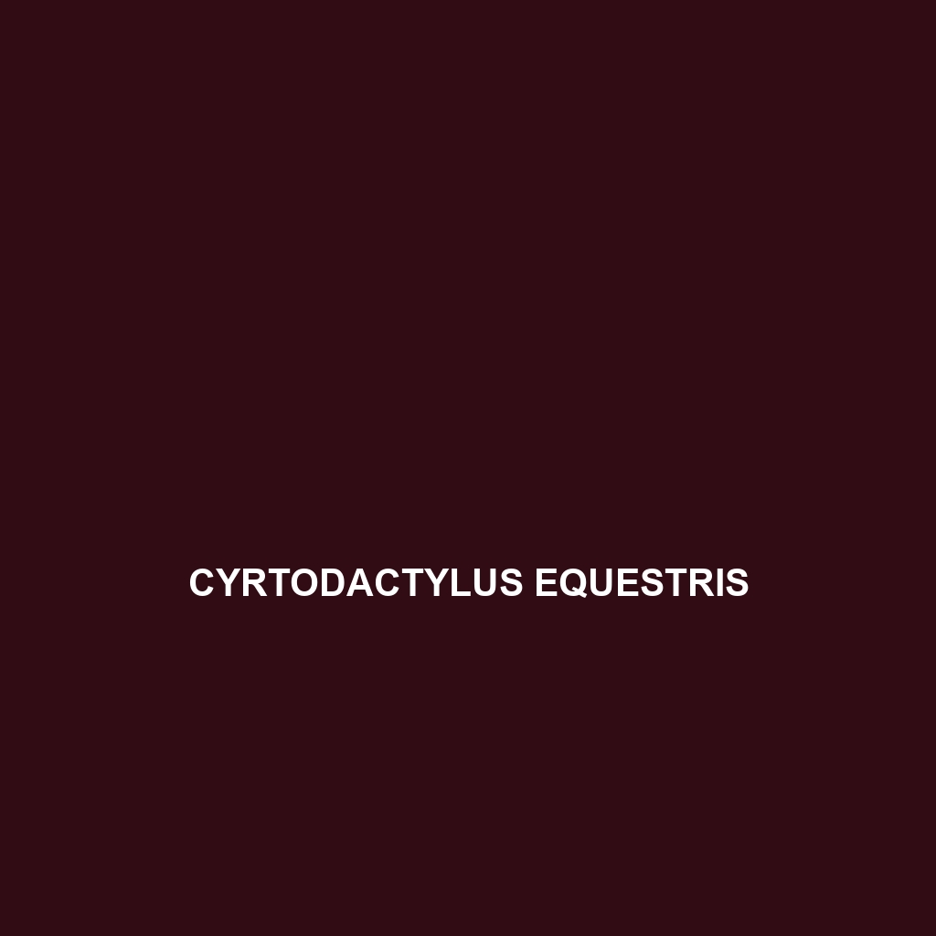 Cyrtodactylus equestris