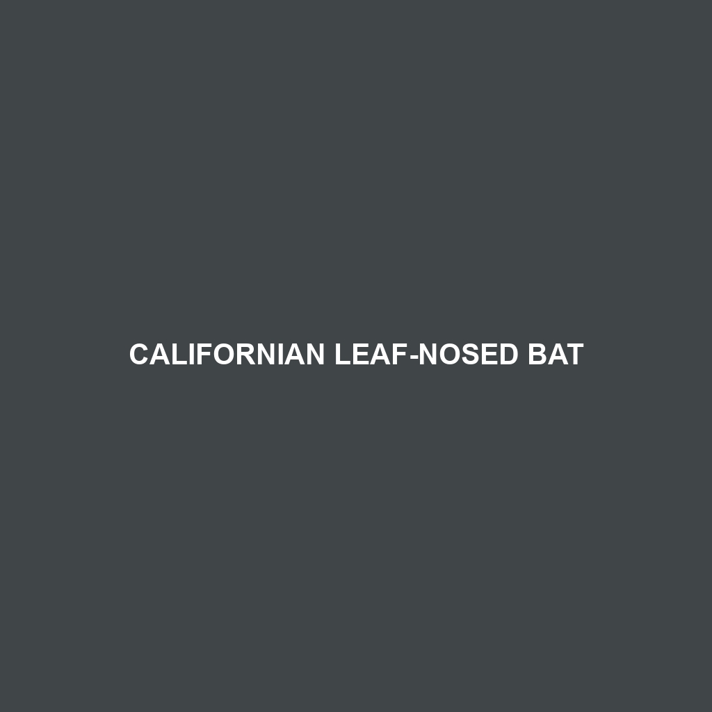 Californian Leaf-nosed Bat