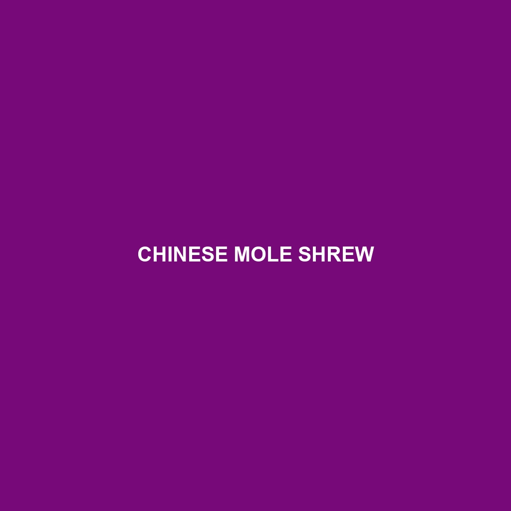 Chinese Mole Shrew