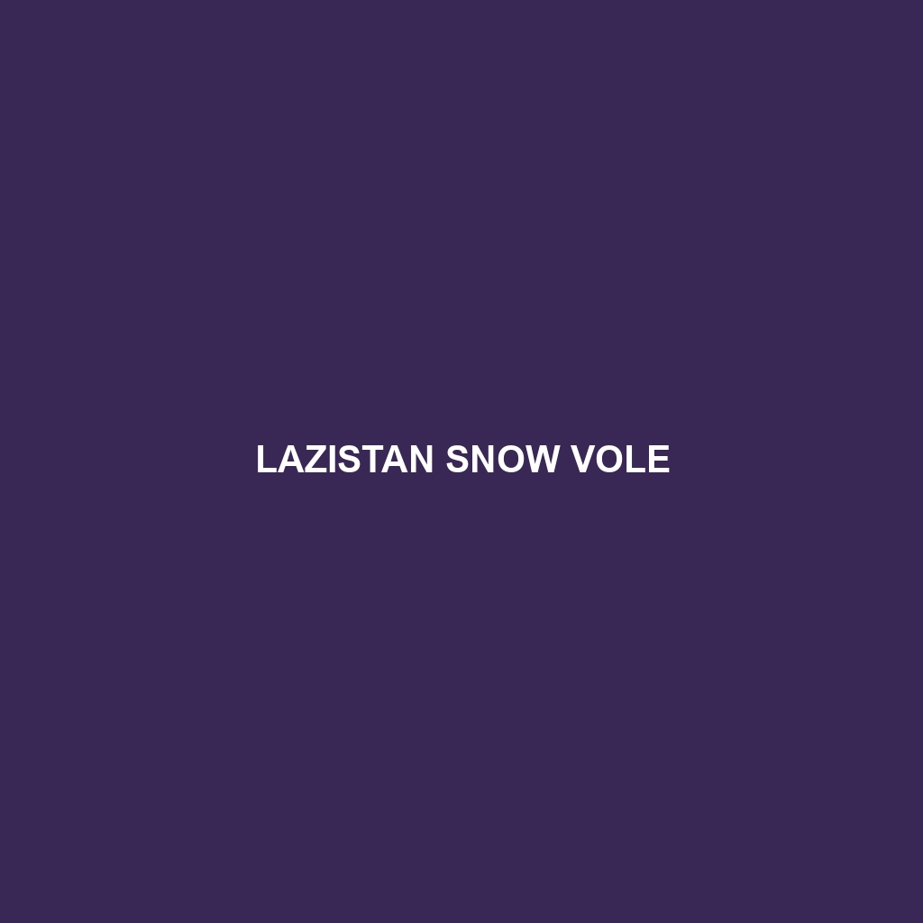 Lazistan Snow Vole