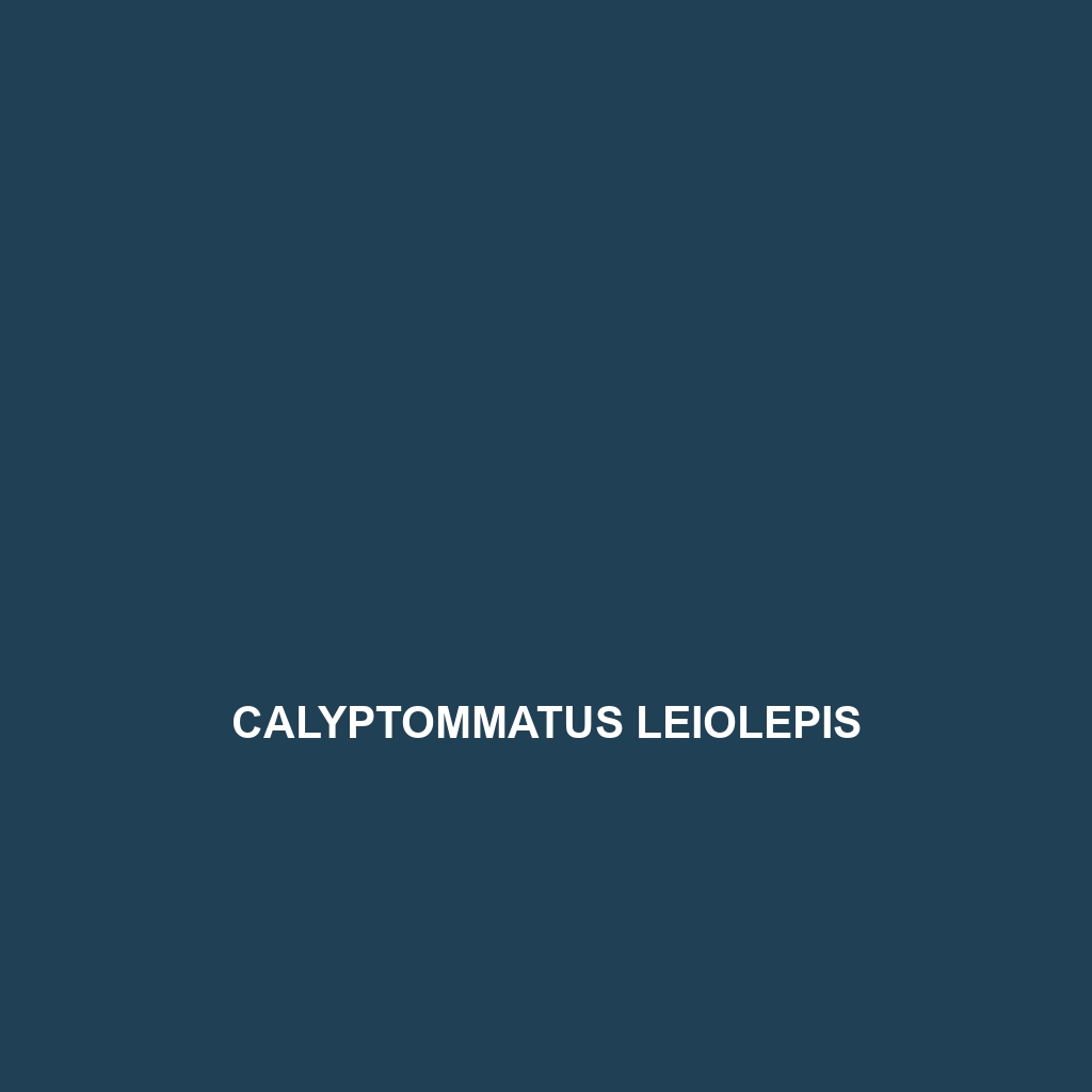 Calyptommatus leiolepis