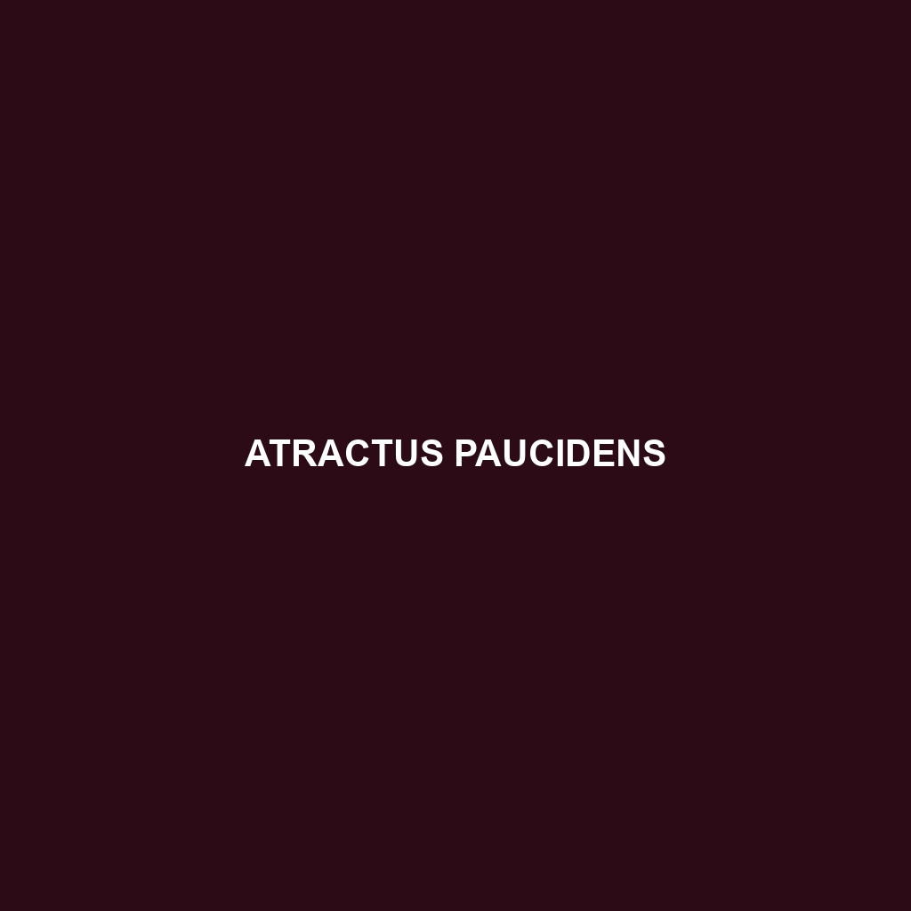 Atractus paucidens