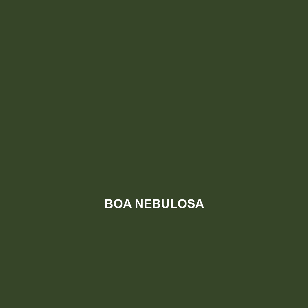 Boa nebulosa