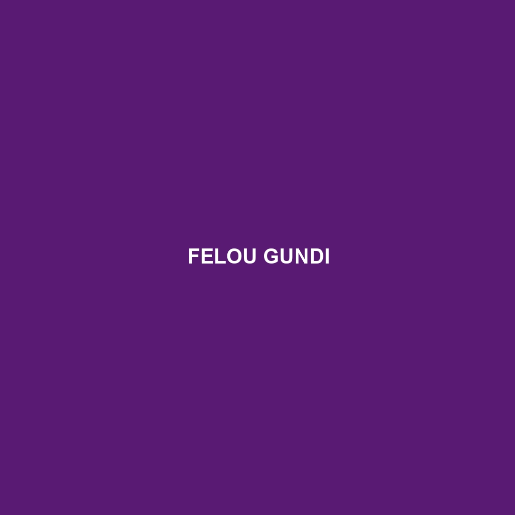 Felou Gundi