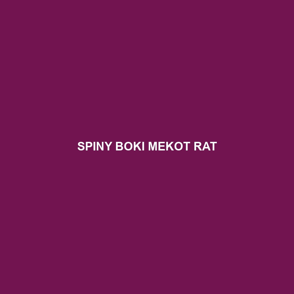 Spiny Boki Mekot Rat