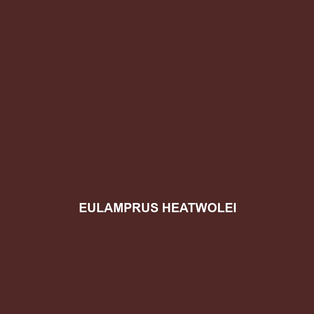 Eulamprus heatwolei