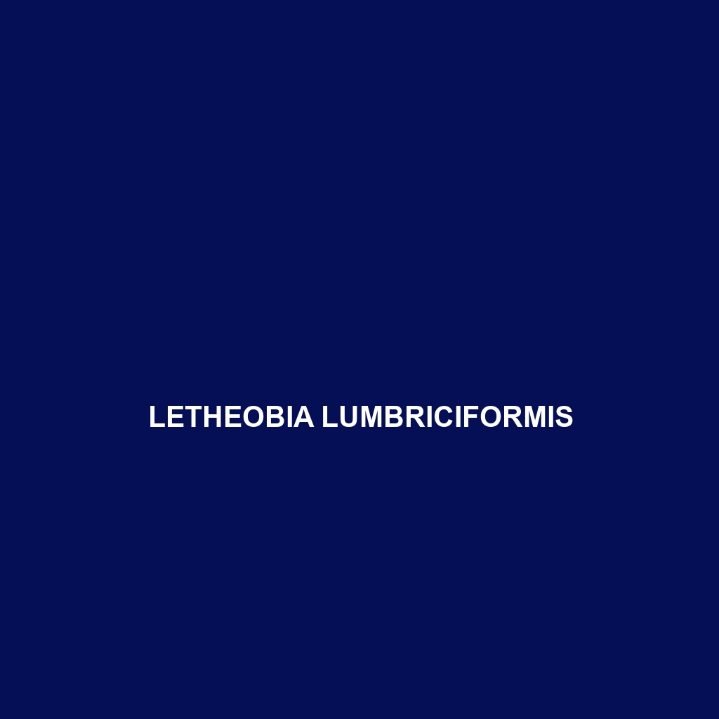 Letheobia lumbriciformis