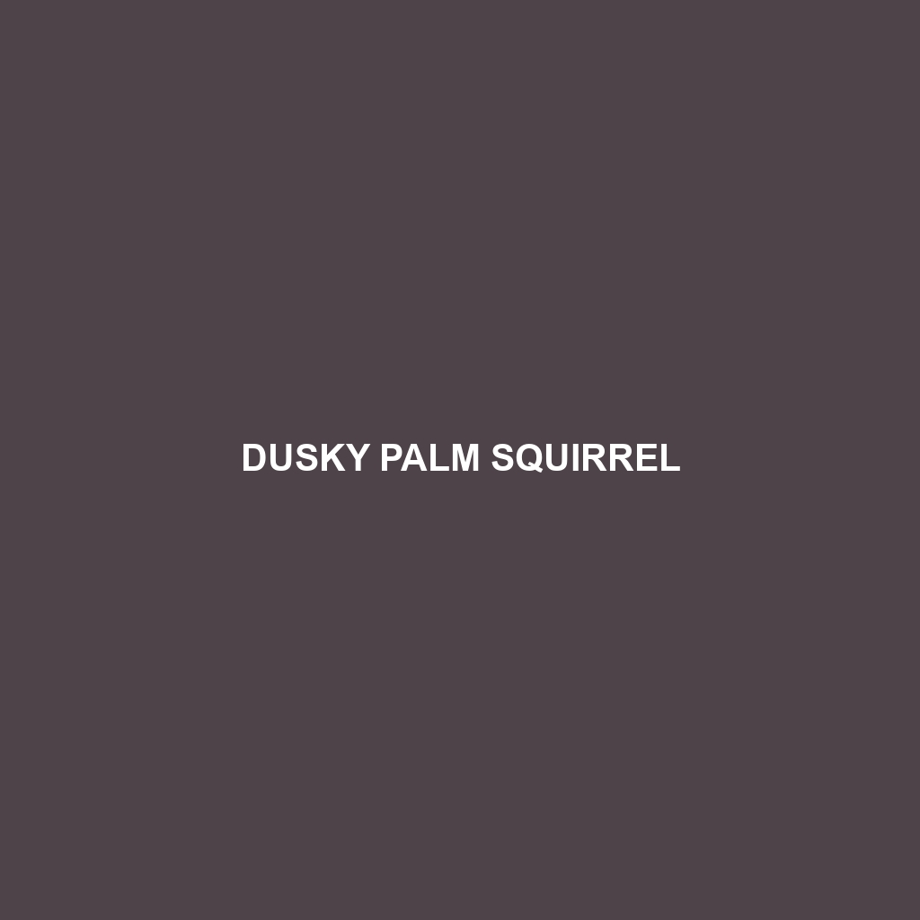 Dusky Palm Squirrel