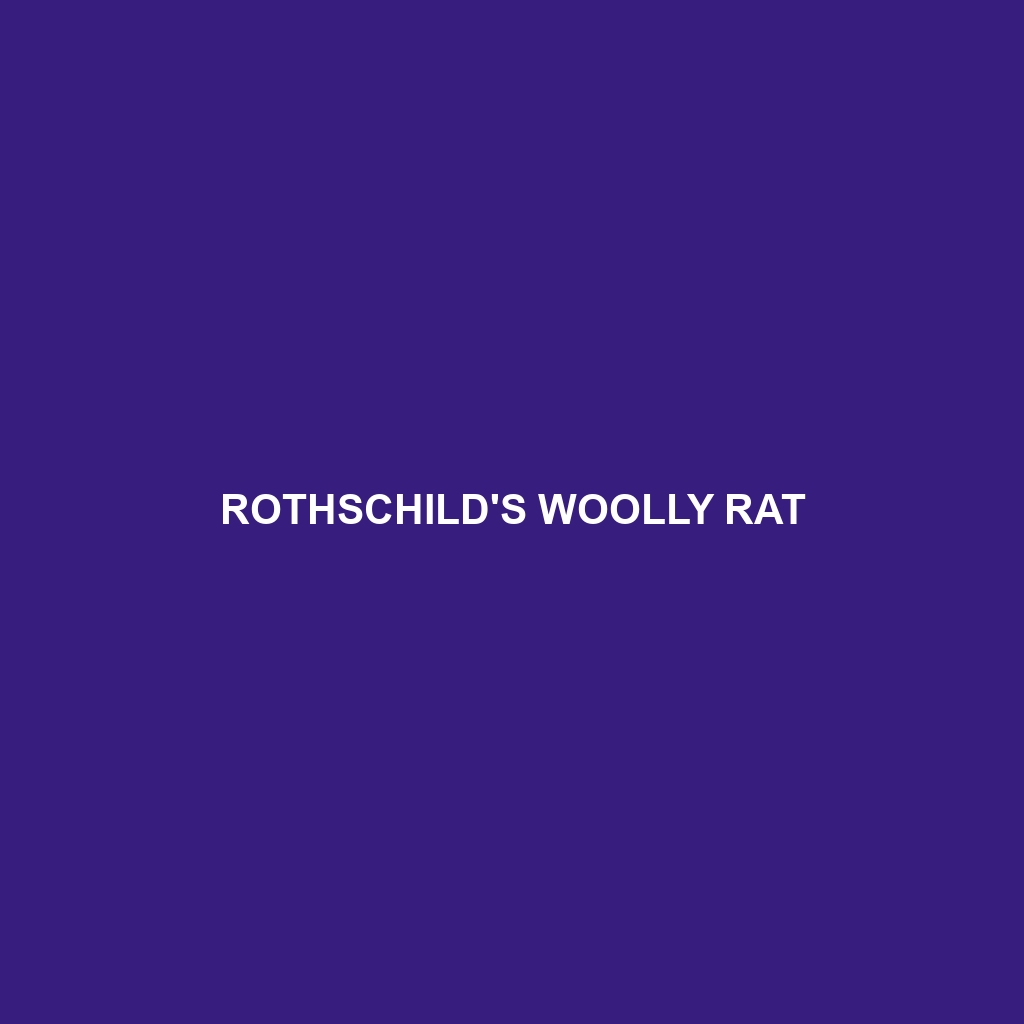 Rothschild's Woolly Rat