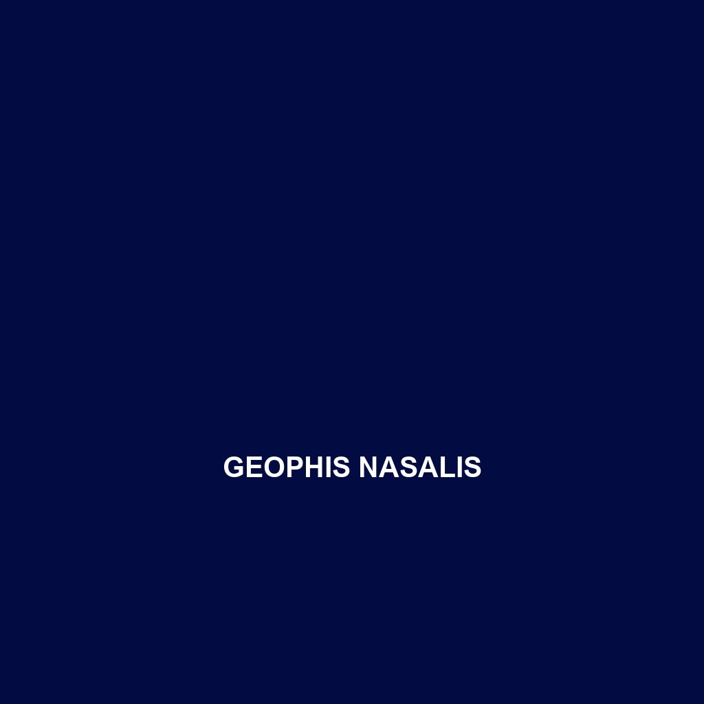 Geophis nasalis