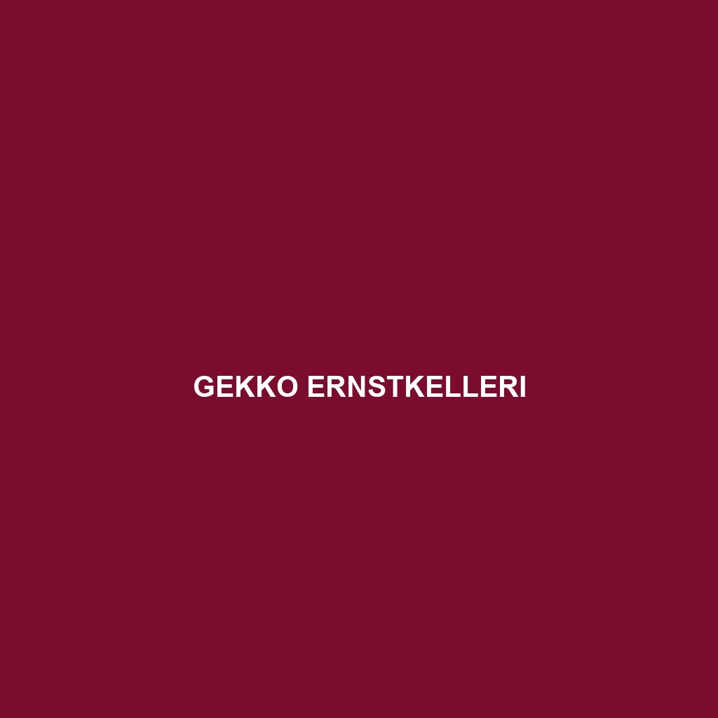 Gekko ernstkelleri