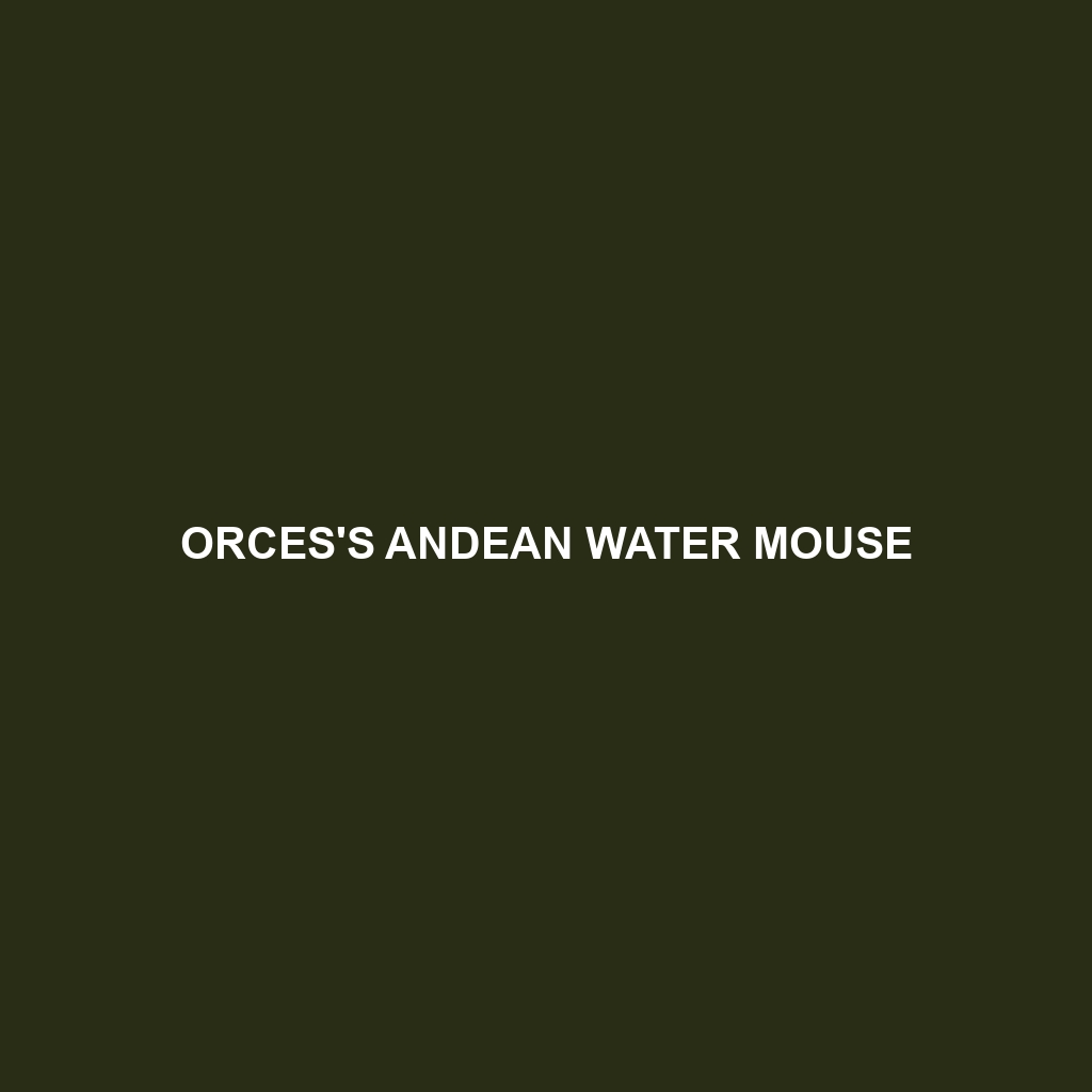 Orces's Andean Water Mouse