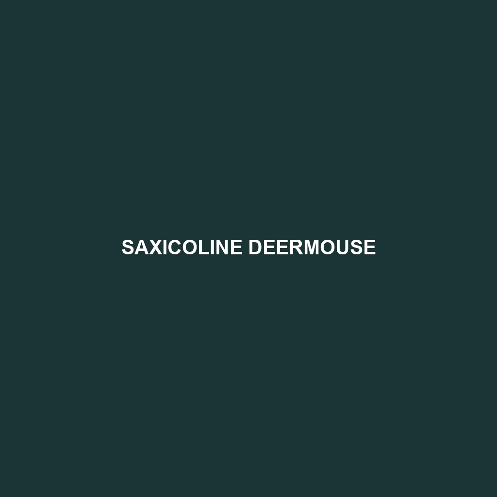 Saxicoline Deermouse