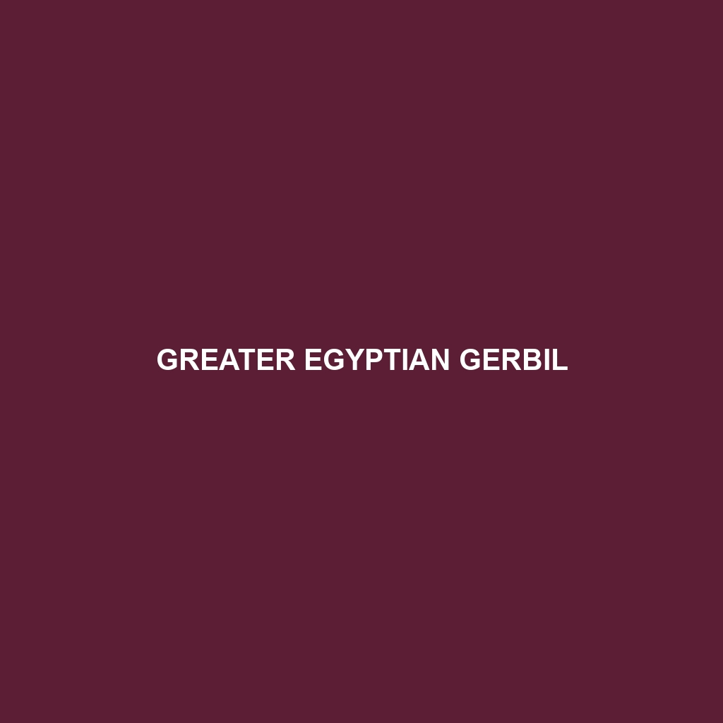 Greater Egyptian Gerbil