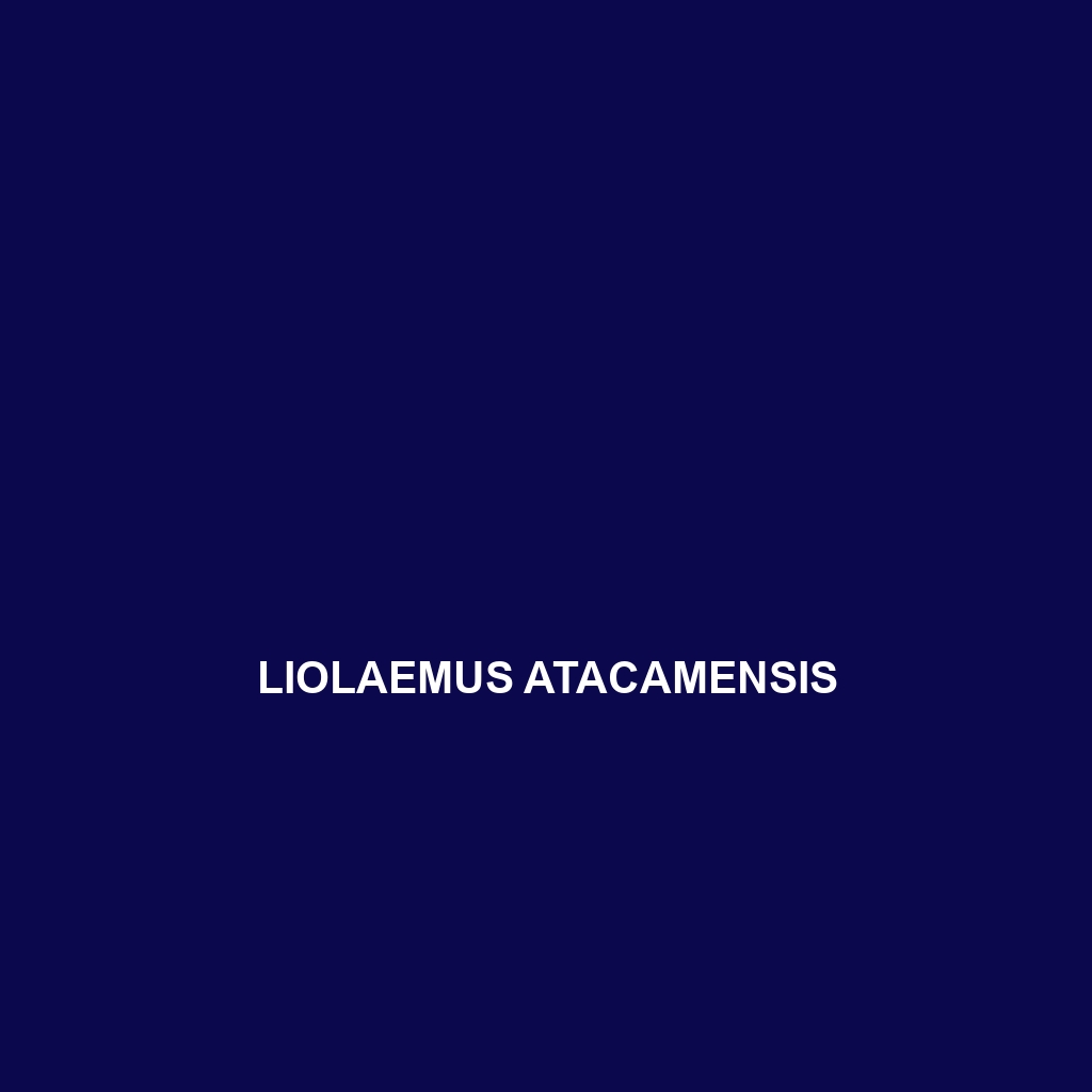 Liolaemus atacamensis