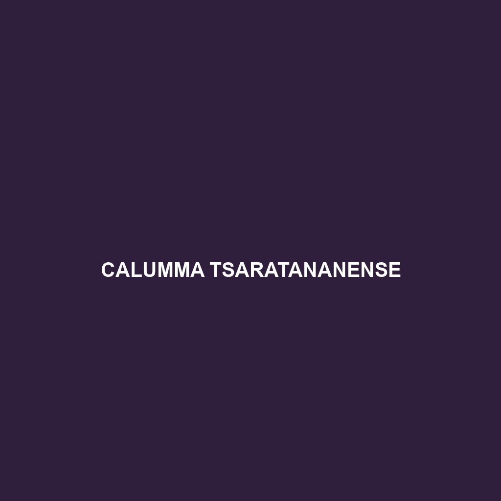 Calumma tjiasmantoi