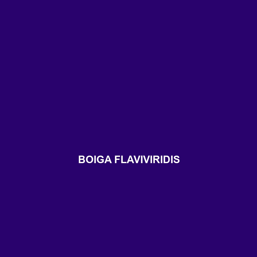 Boiga flaviviridis