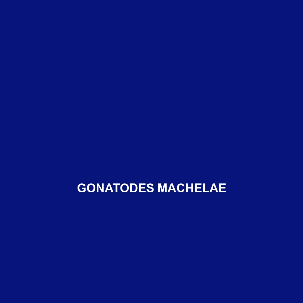 Gonatodes machelae