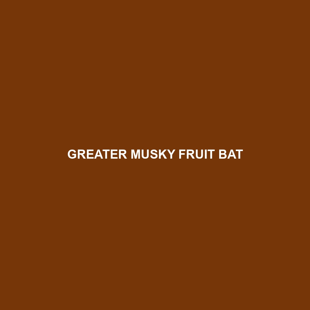 Greater Musky Fruit Bat