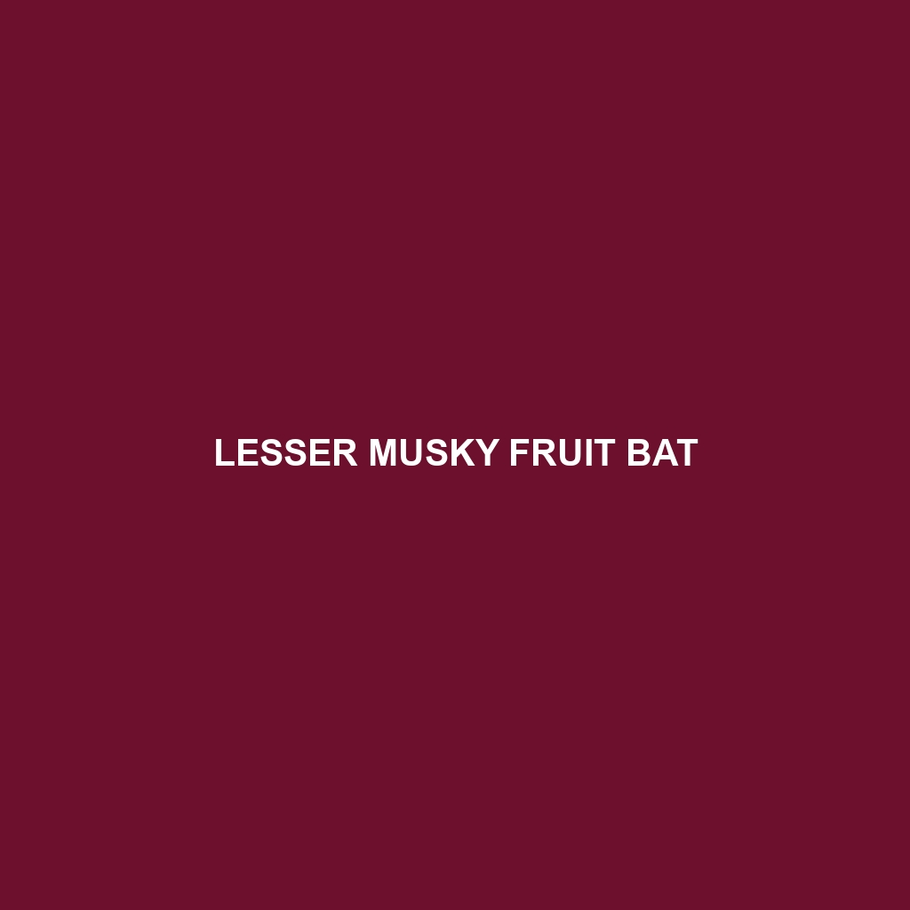 Lesser Musky Fruit Bat