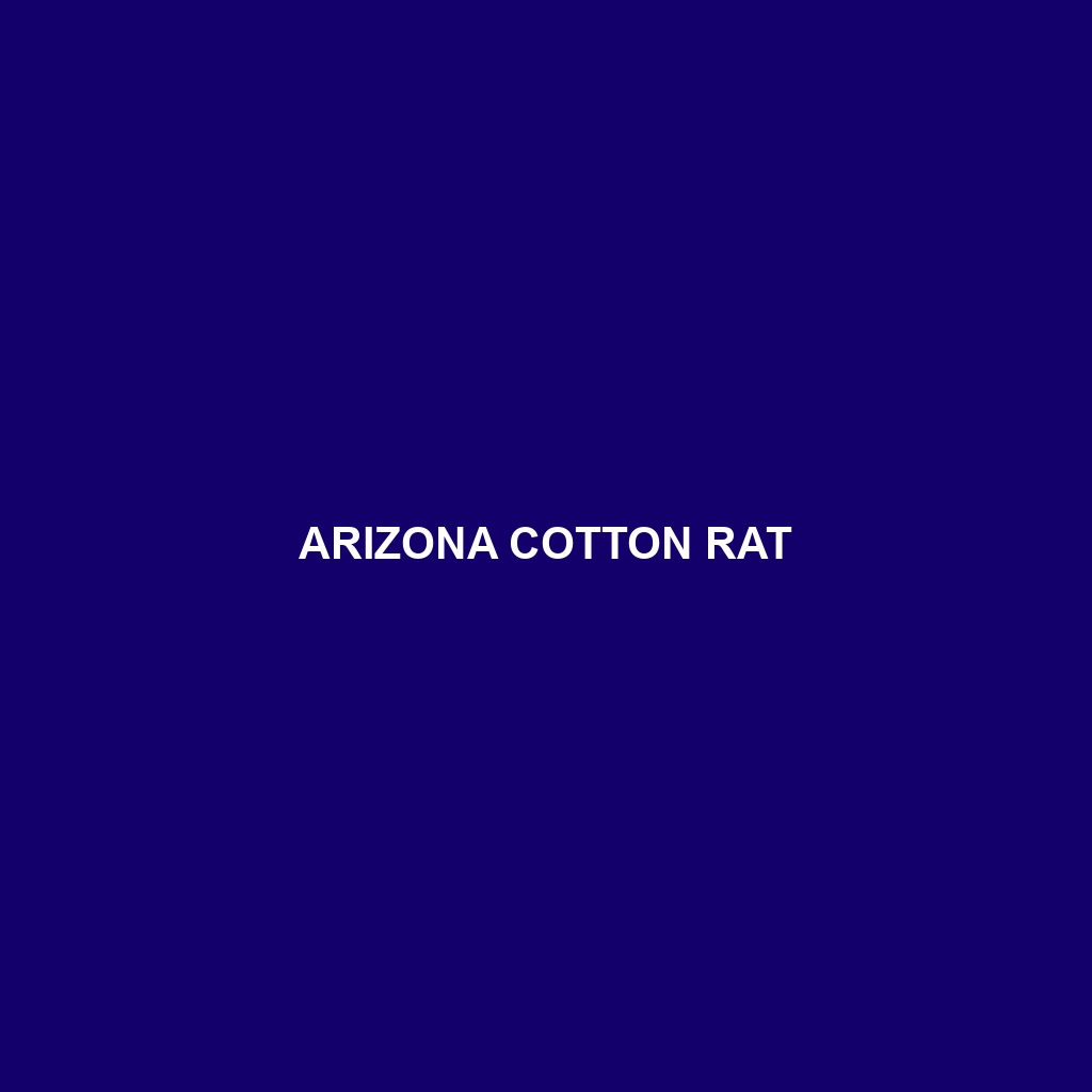 Arizona Cotton Rat