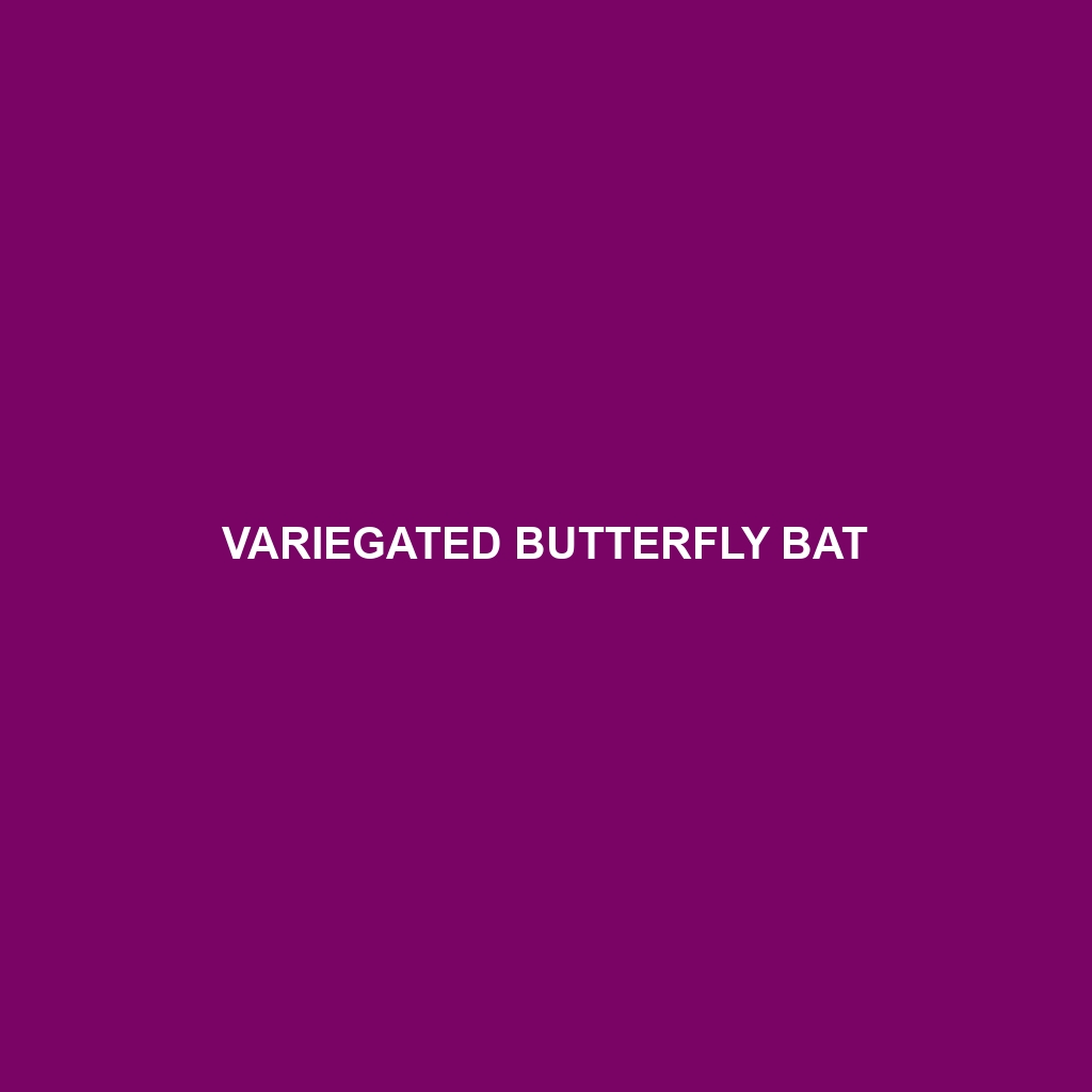 Variegated Butterfly Bat