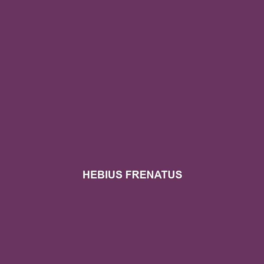 Hebius frenatus