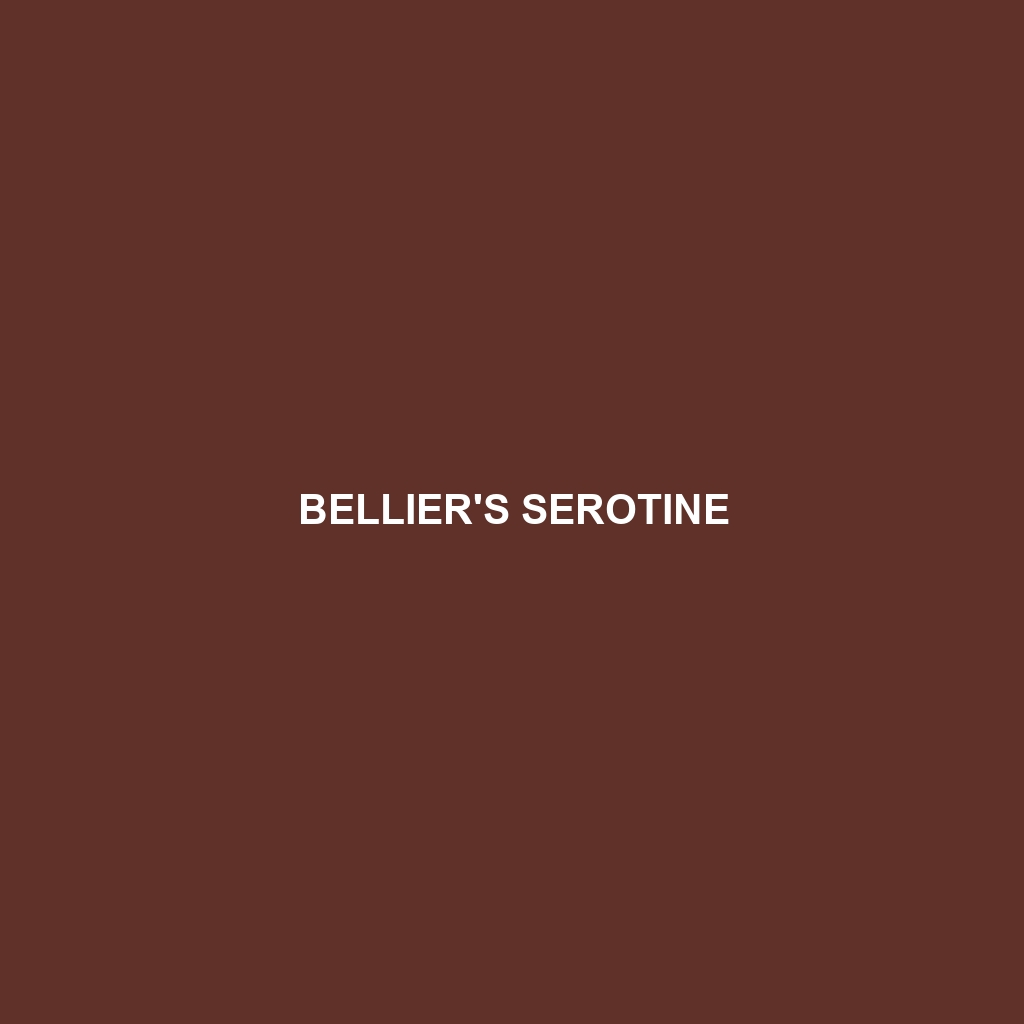 Bellier's Serotine